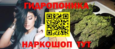 прущие крисы Канаш