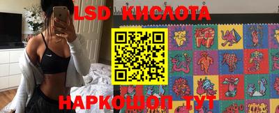 амф Кандалакша