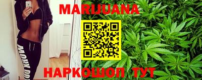 амф Кандалакша